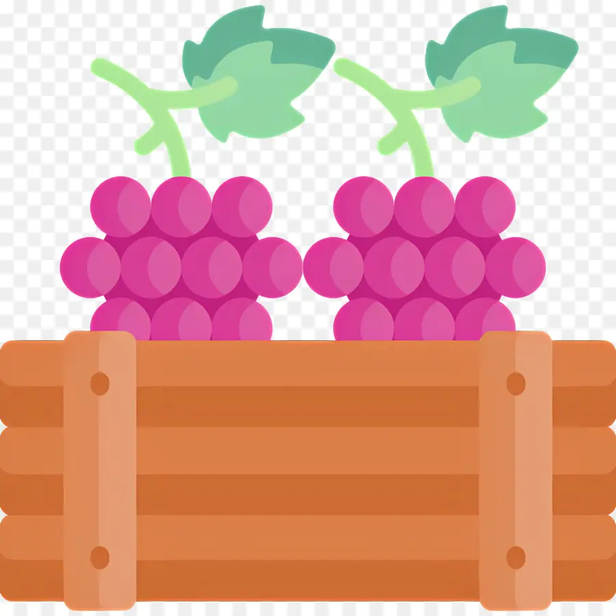 Caixa De Colheita，Uvas PNG