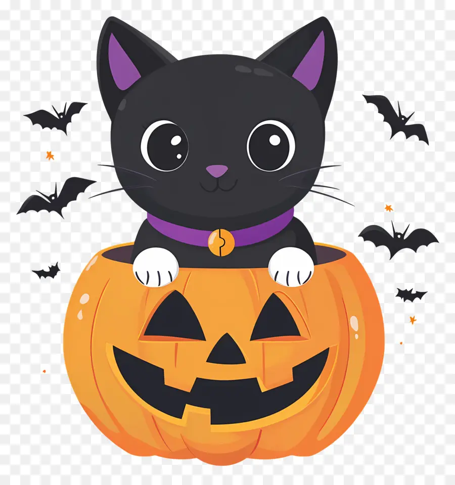 Gato Preto De Halloween，Gato Em Abóbora PNG