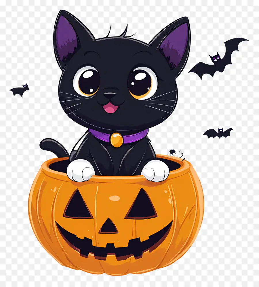 Gato Preto De Halloween，Gato Em Abóbora PNG