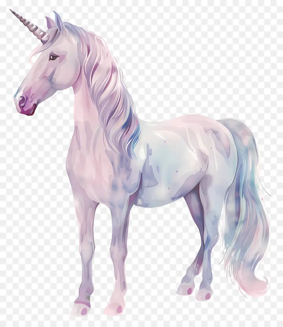 Unicórnio Pastel，Unicórnio PNG