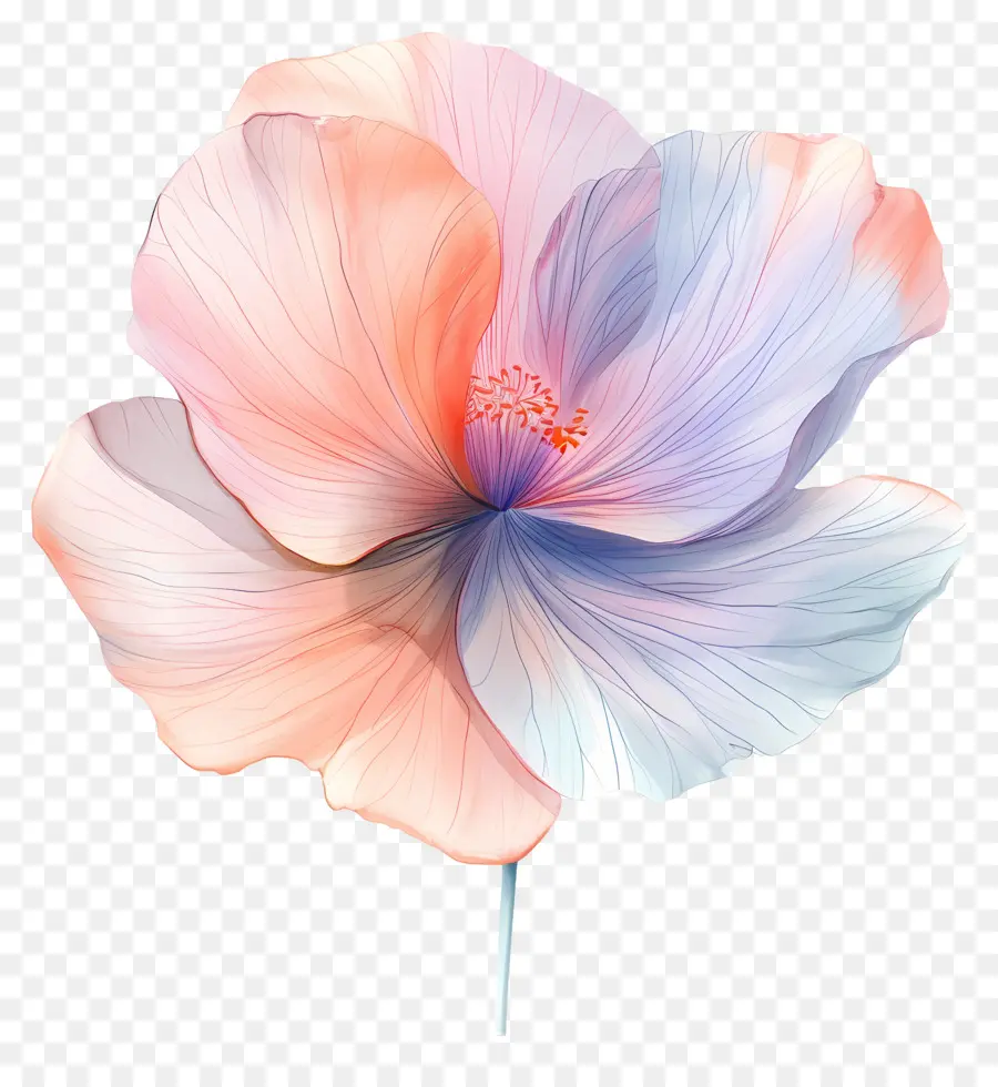 Flor Pastel，Flor Colorida PNG