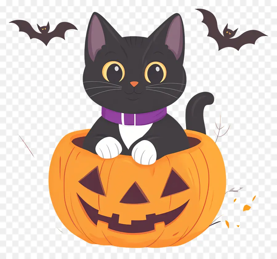 Gato Preto De Halloween，Gato Em Abóbora PNG