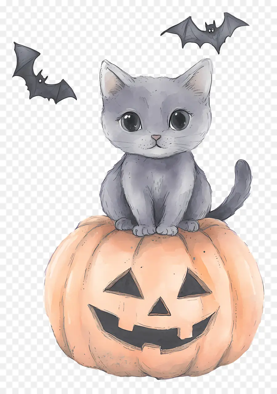 Gato De Halloween，Gato Em Abóbora PNG