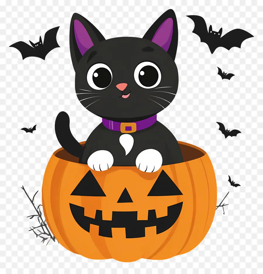 Gato Preto De Halloween，Gato Em Abóbora PNG