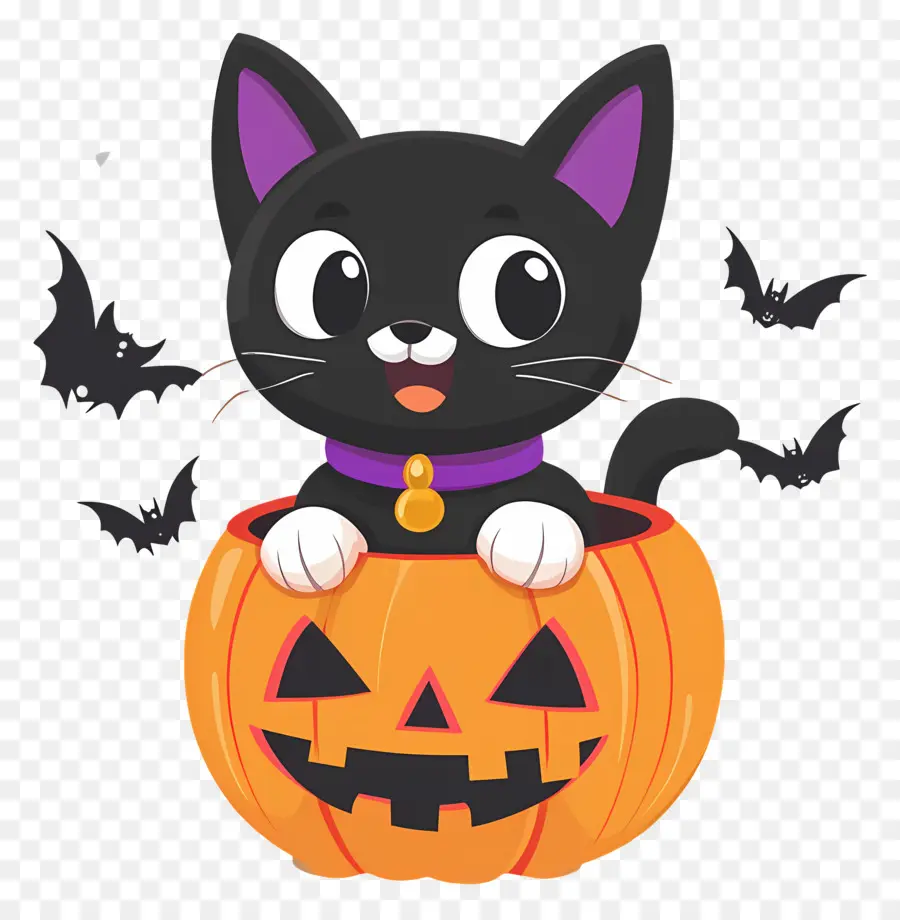 Gato Preto De Halloween，Gato Em Abóbora PNG