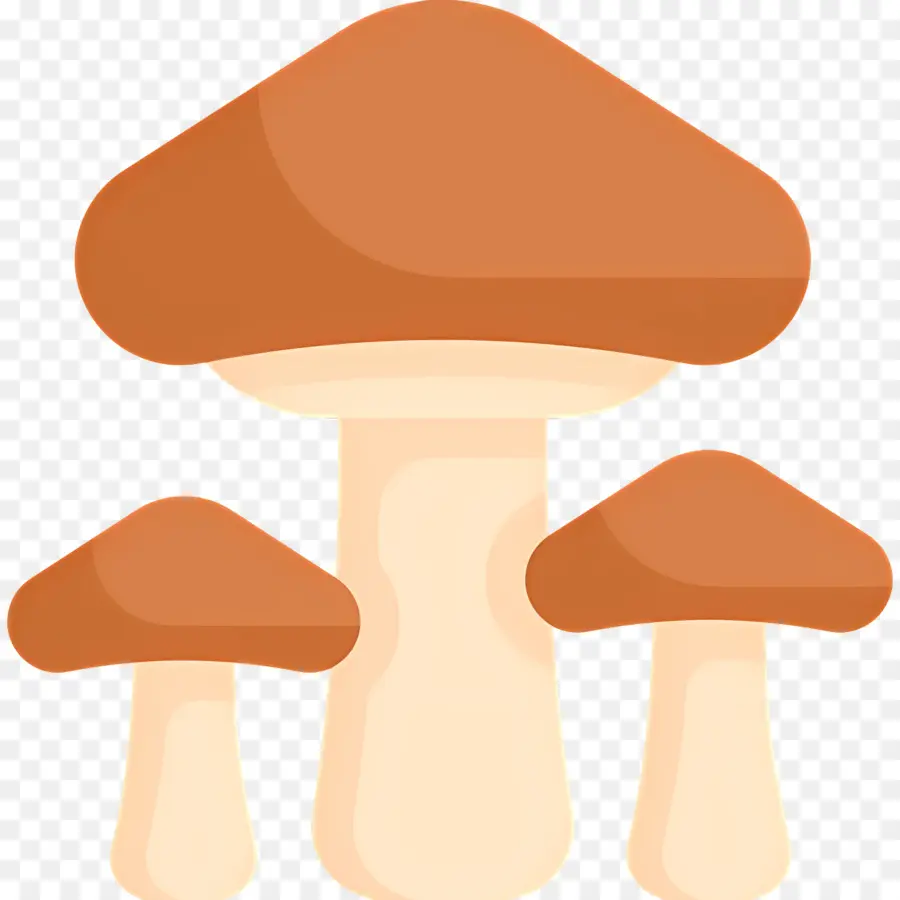 Cogumelo，Cogumelos PNG