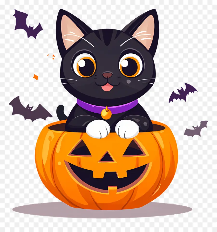 Gato Preto De Halloween，Gato Em Abóbora PNG