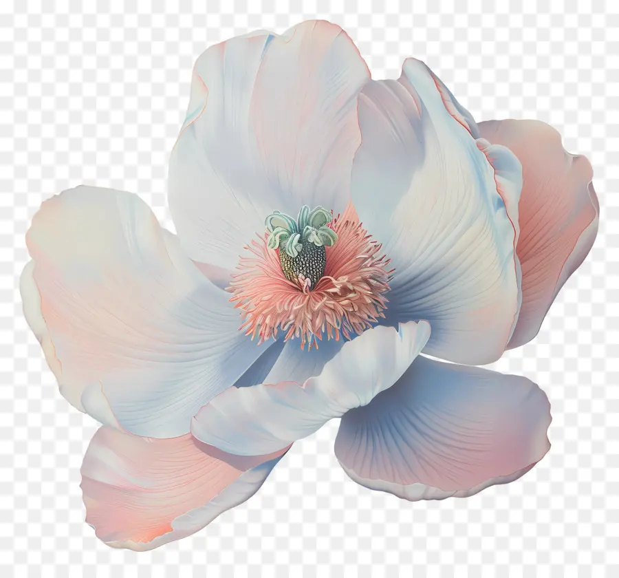 Flor Pastel，Flor PNG