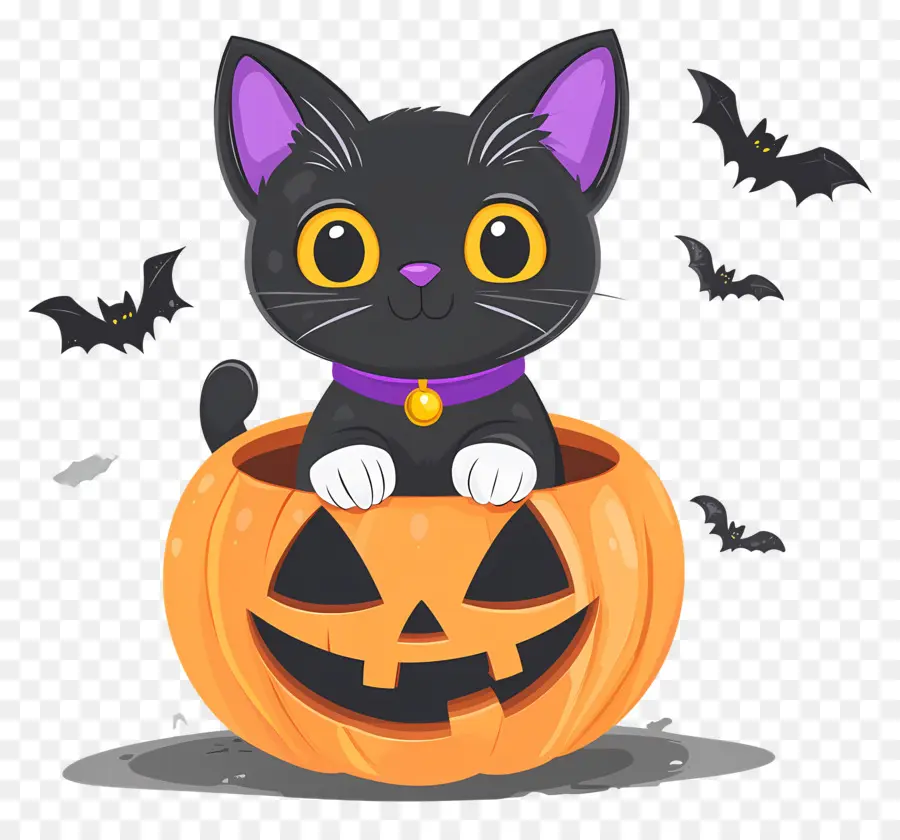 Gato Preto De Halloween，Gato Em Abóbora PNG