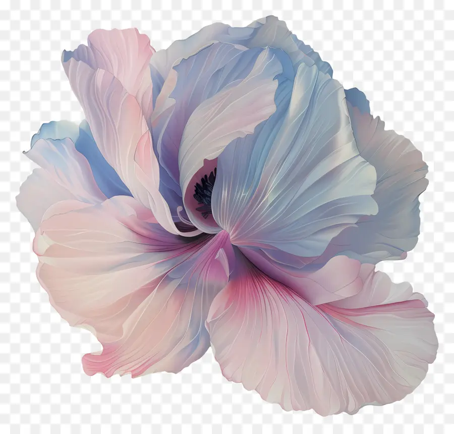 Flor Pastel，Flor Colorida PNG