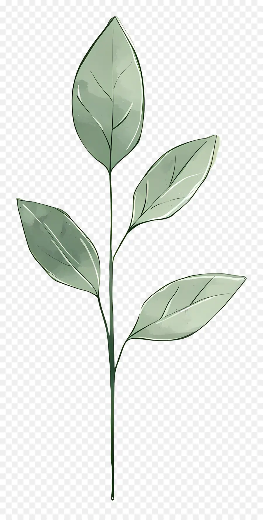 Planta Verde，Folhas Verdes PNG