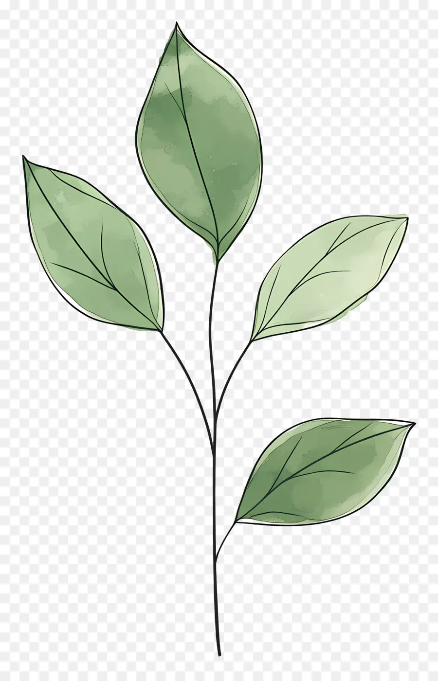 Planta Verde，Folhas Verdes PNG