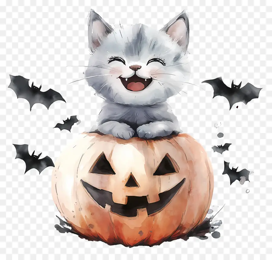 Gato De Halloween，Gato Em Abóbora PNG