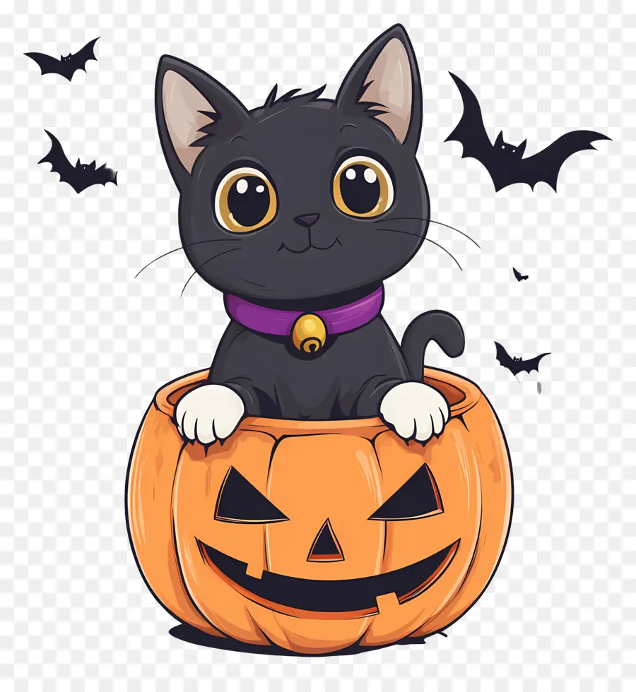 Gato Preto De Halloween，Gato Em Abóbora PNG