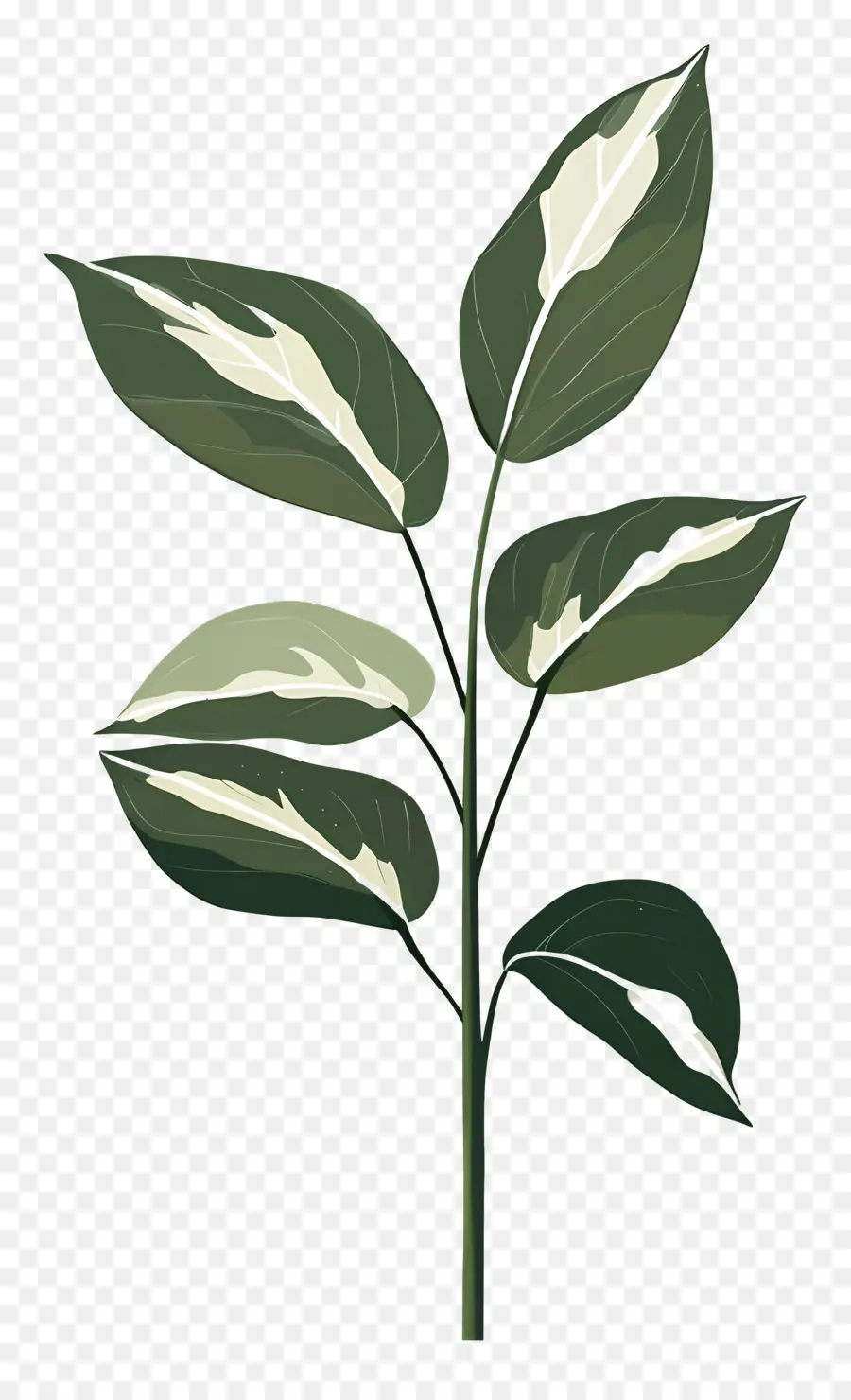 Planta Verde，Folhas Verdes PNG