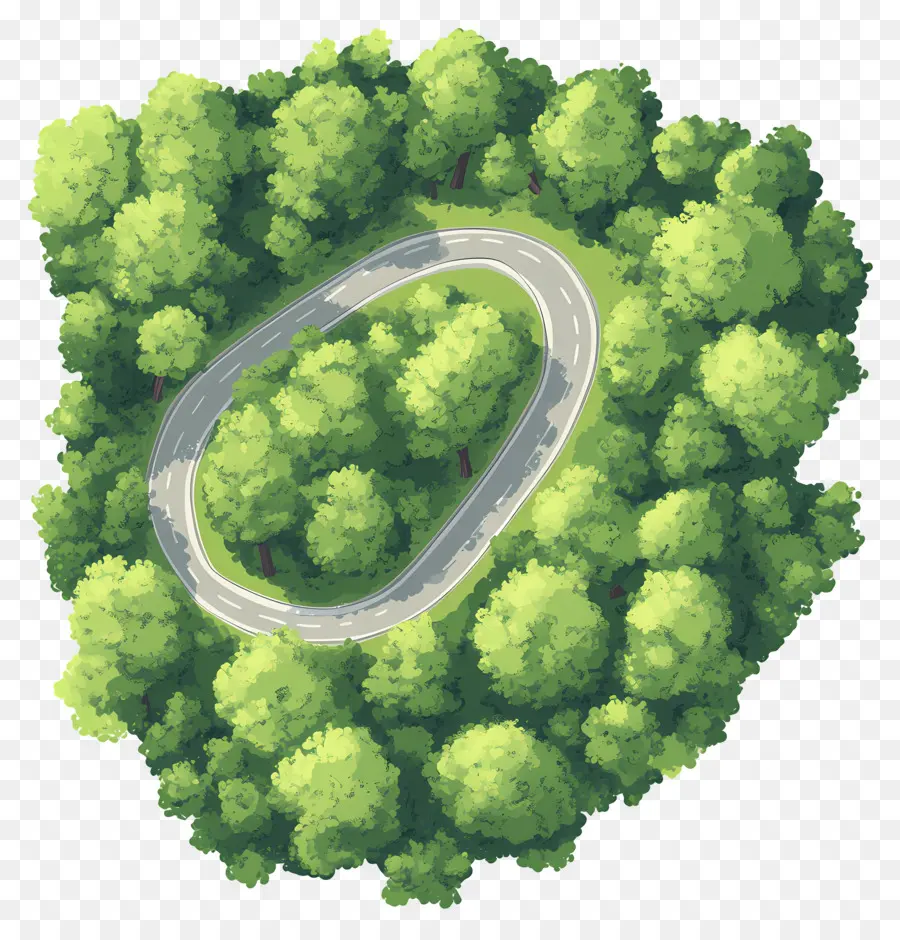 Floresta Densa，Floresta PNG