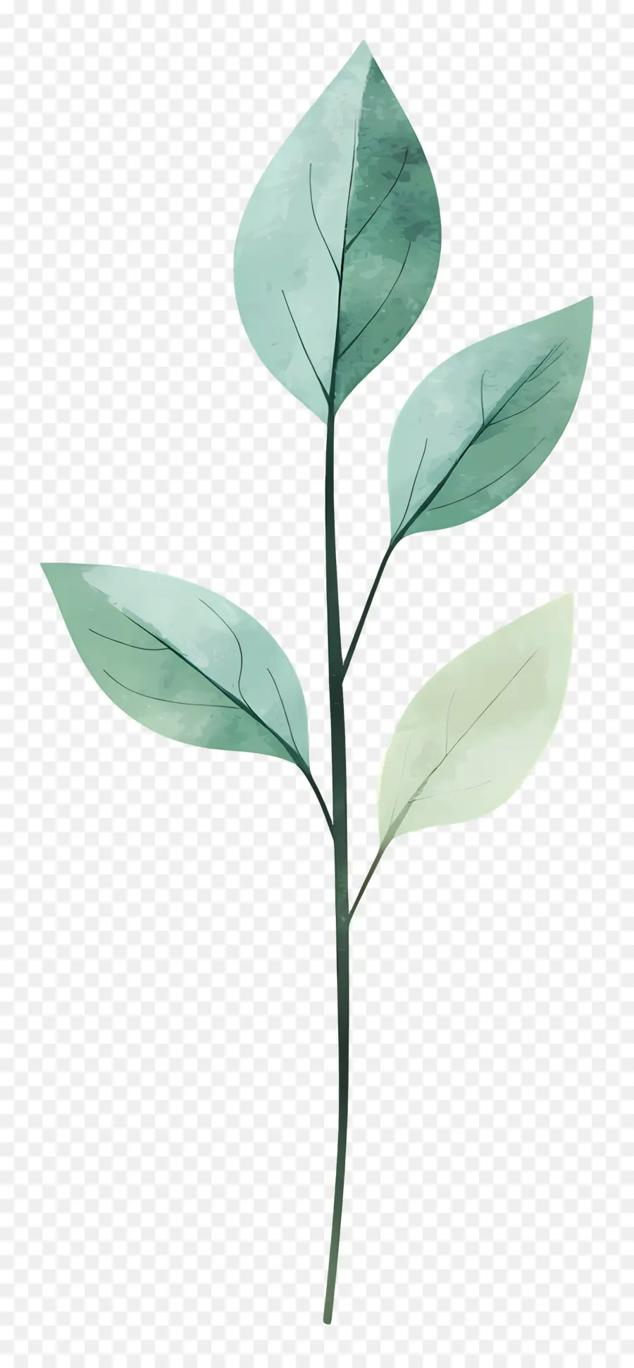 Planta Verde，Filial PNG