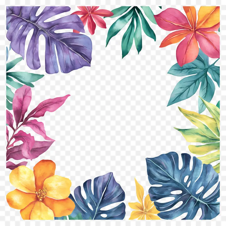 Moldura Floral Tropical，Moldura Colorida PNG