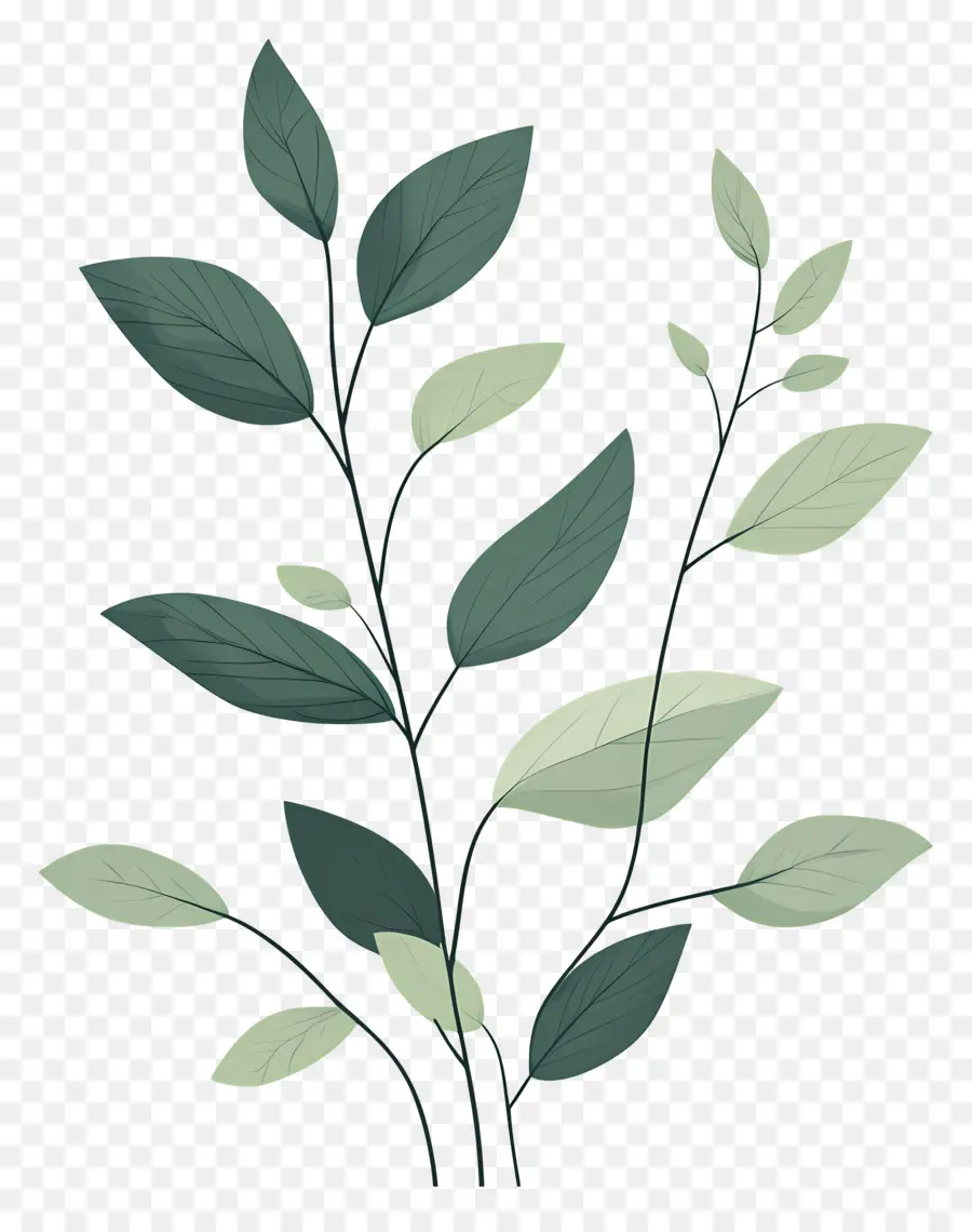 Planta Verde，Folhas Verdes PNG