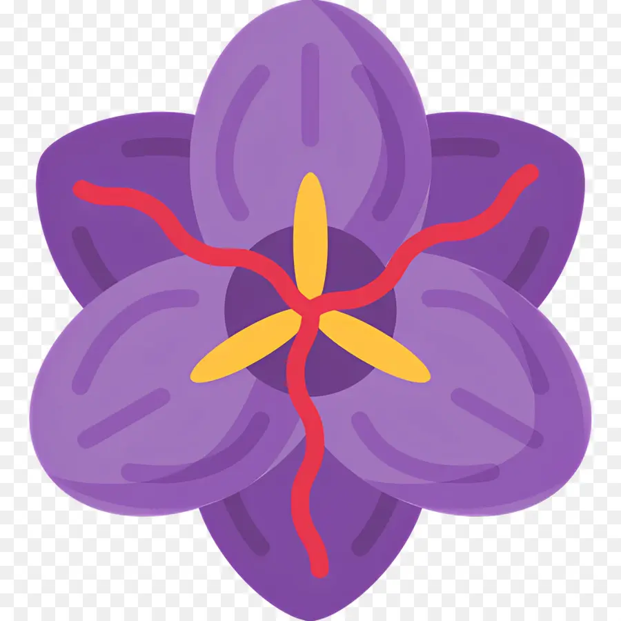 Açafrão，Flor De Açafrão PNG