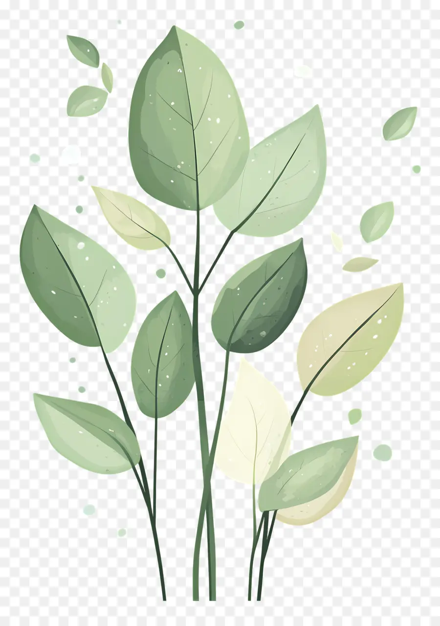 Planta Verde，Folhas PNG