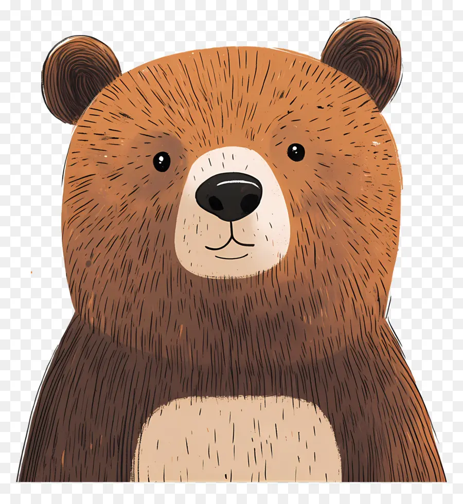 Urso Pardo，Urso De Desenho Animado PNG