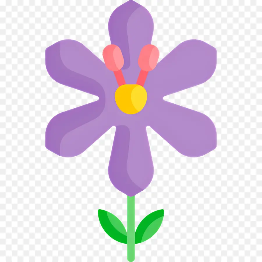 Açafrão，Flor PNG