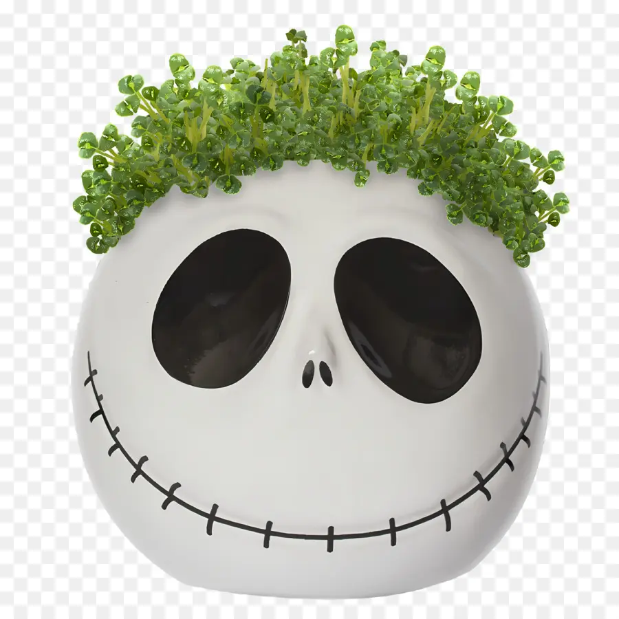 Jack Skellington，Plantador De Caveira PNG