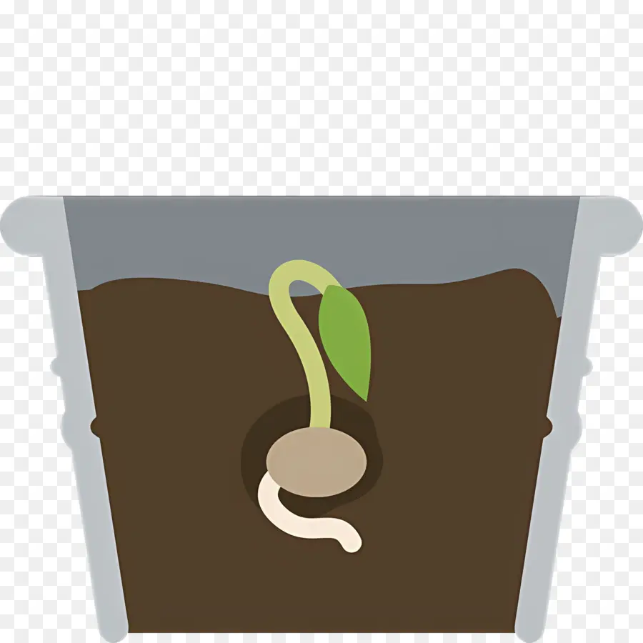 Germinação De Sementes，Planta Brotando PNG