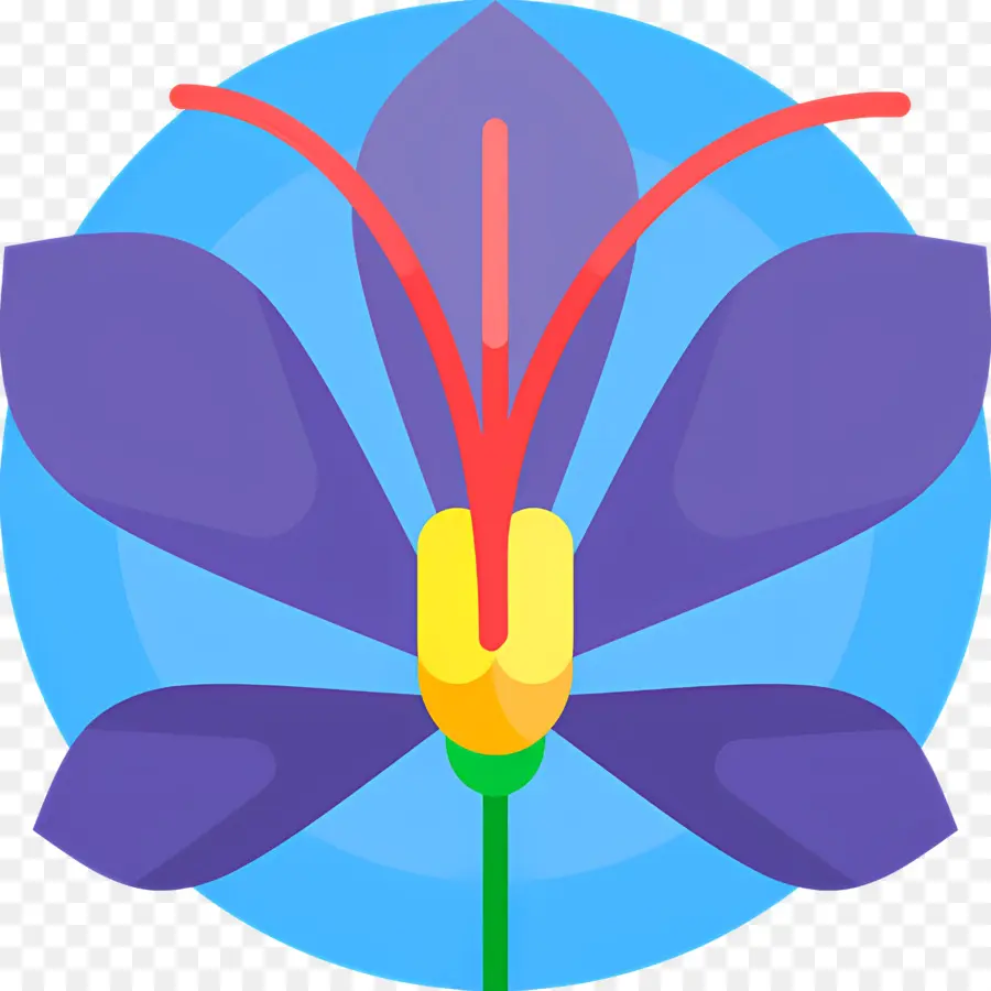 Açafrão，Flor Roxa PNG