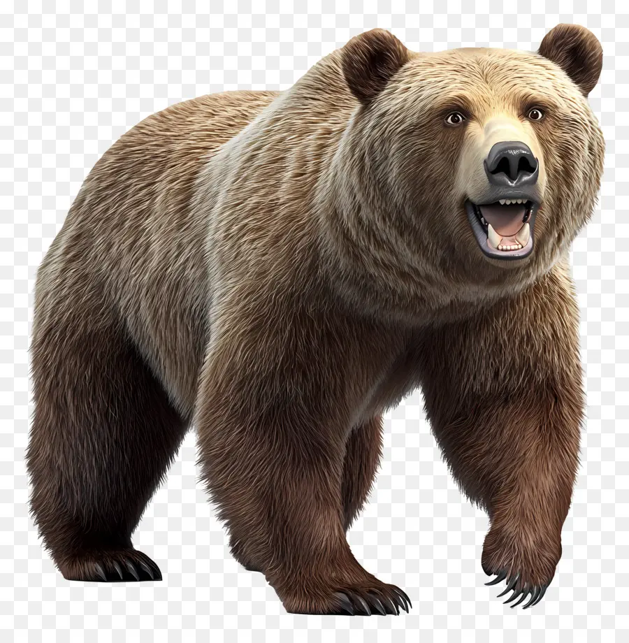 Urso Pardo，De Pé PNG