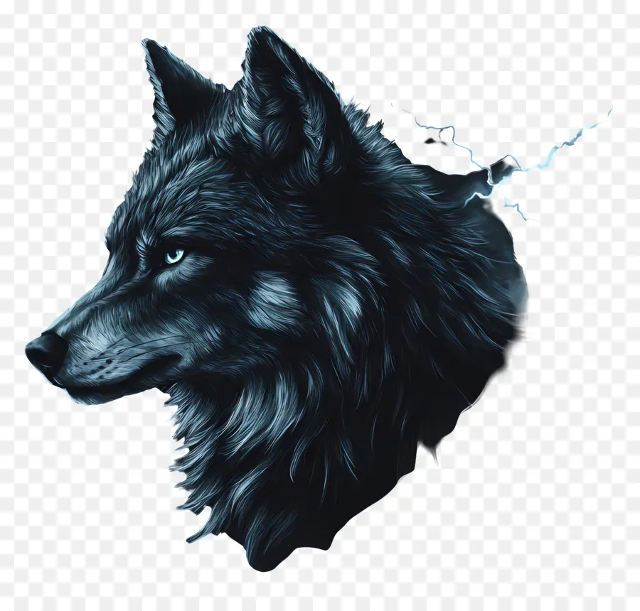 Fantasia Lobo，Lobo PNG