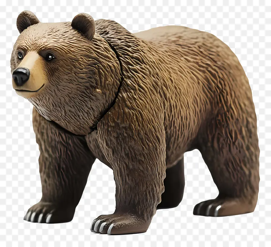 Urso Pardo，Urso PNG