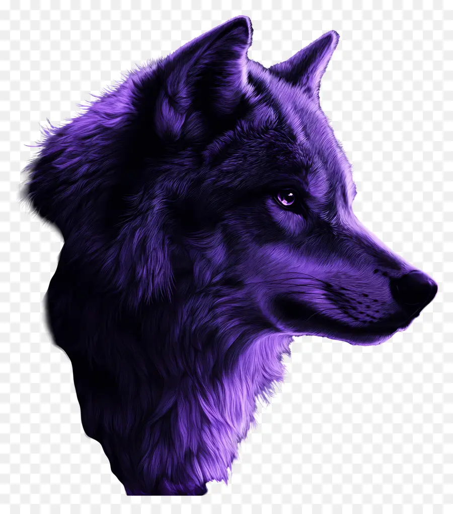 Fantasia Lobo，Lobo PNG