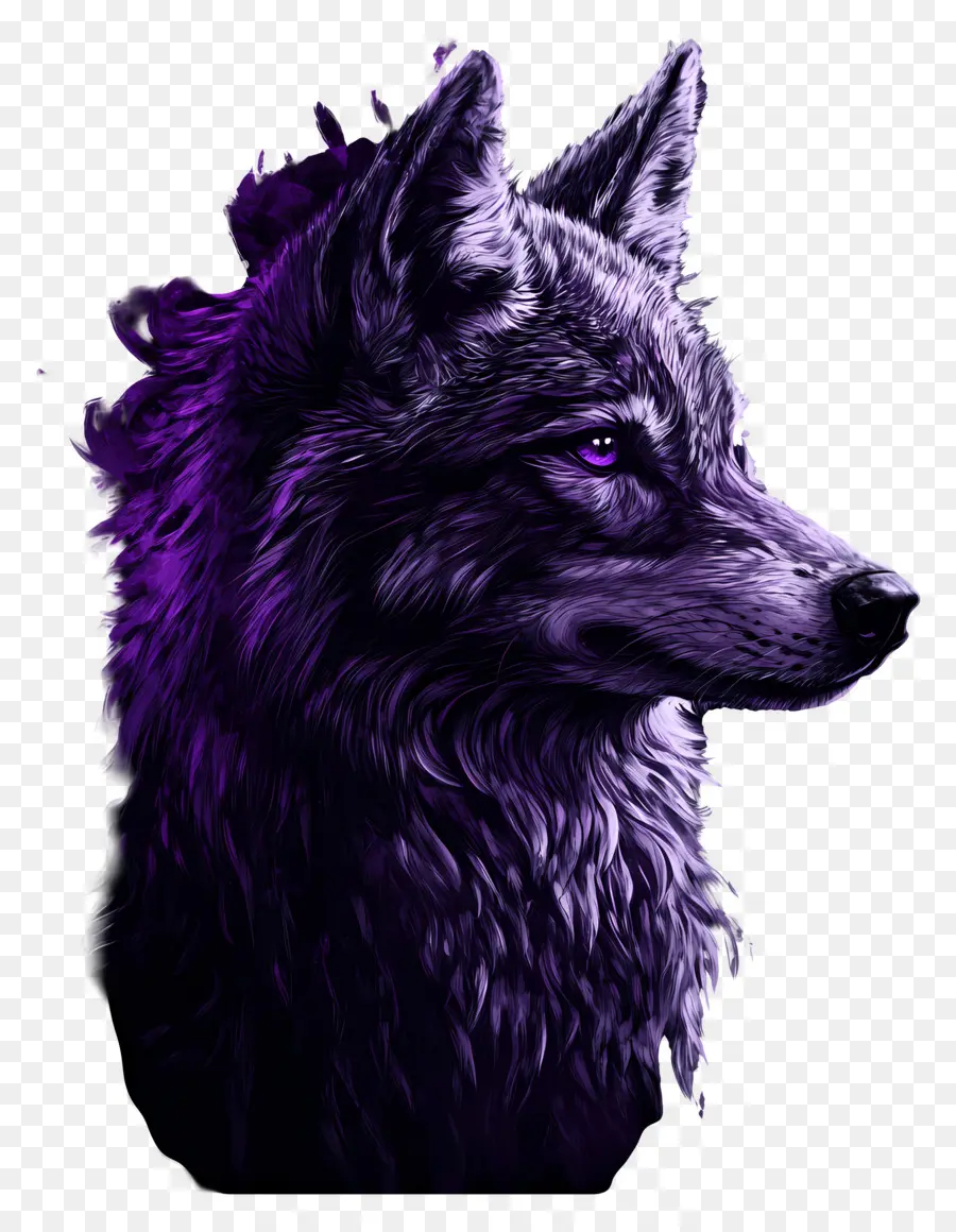 Fantasia Lobo，Lobo PNG