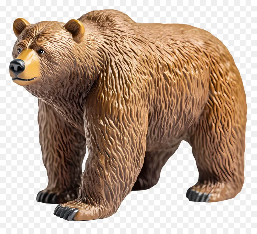 Urso Pardo，Urso PNG