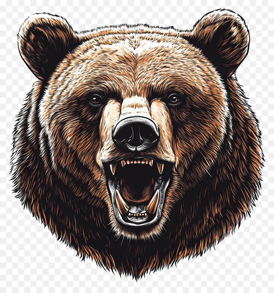 Urso Pardo，Urso Que Ruge PNG