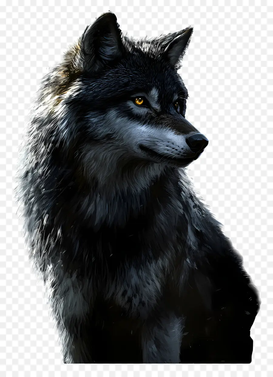 Fantasia Lobo，Lobo PNG