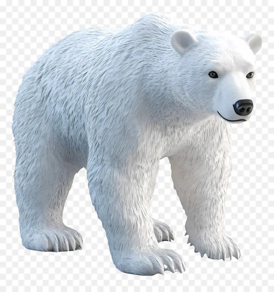 Urso De Gelo，Urso Polar PNG