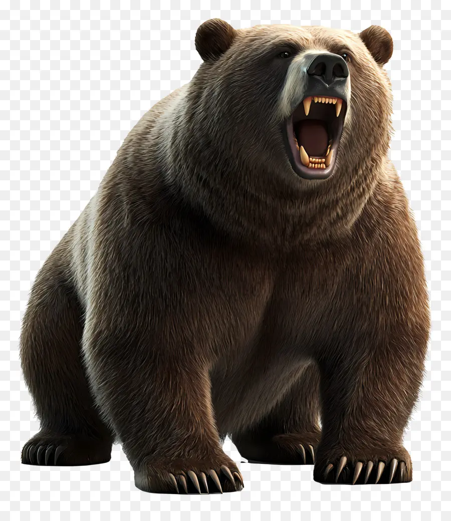 Urso Pardo，Urso PNG