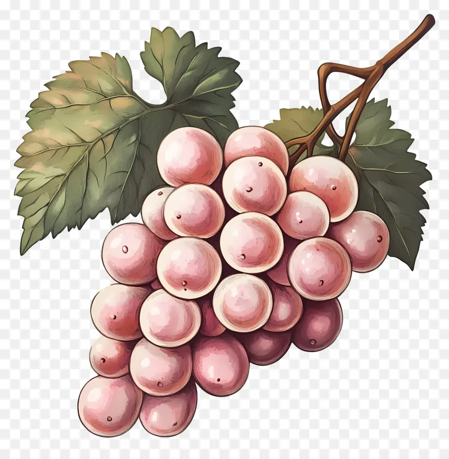 Cacho De Uva，Uvas PNG