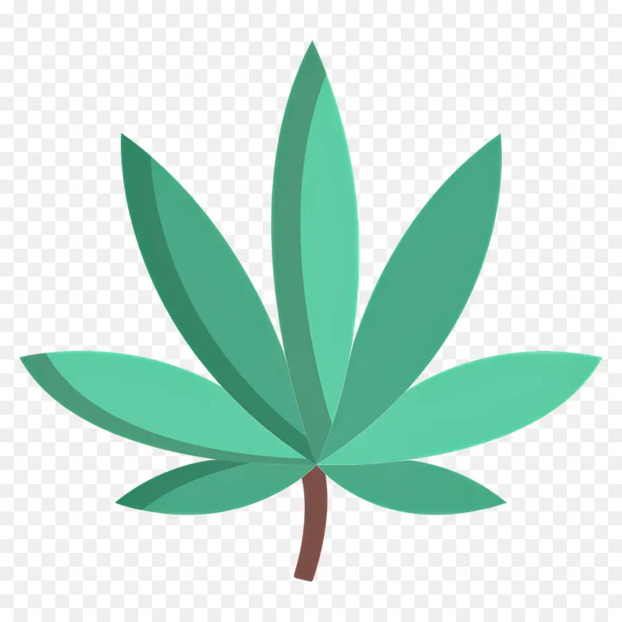 Folha De Maconha，Folha Verde PNG