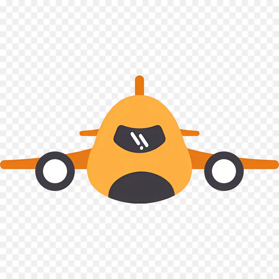 Avião，Voo PNG