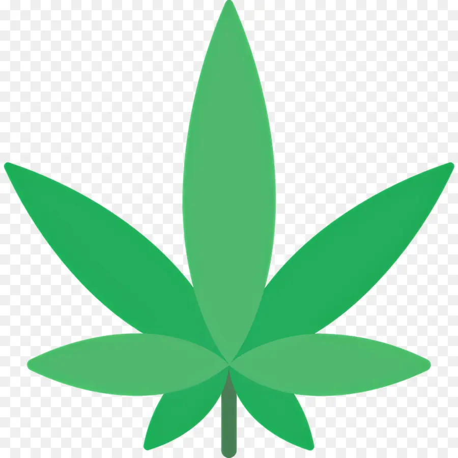 Folha De Cannabis，Folha PNG