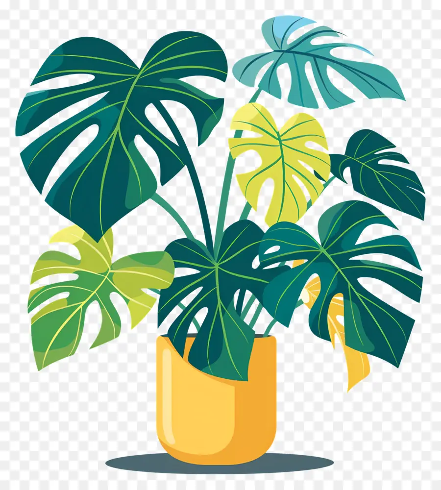 Planta Monstro，Planta Em Vaso PNG