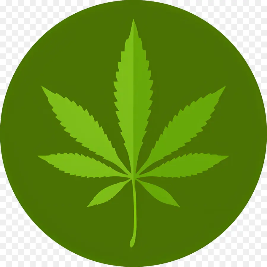 Folha De Cannabis，Maconha PNG