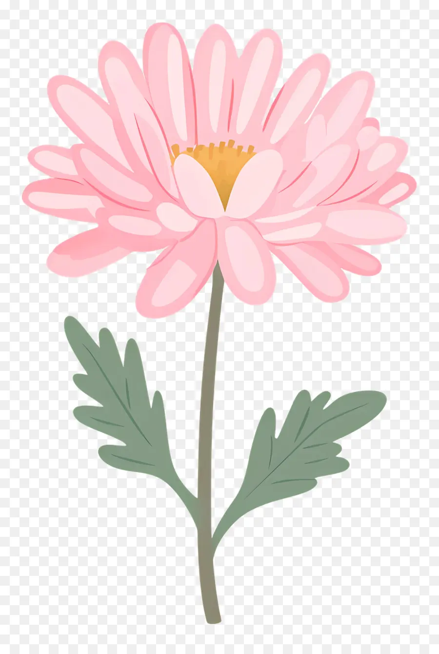 Flor De Crisântemo Rosa，Flor Rosa PNG