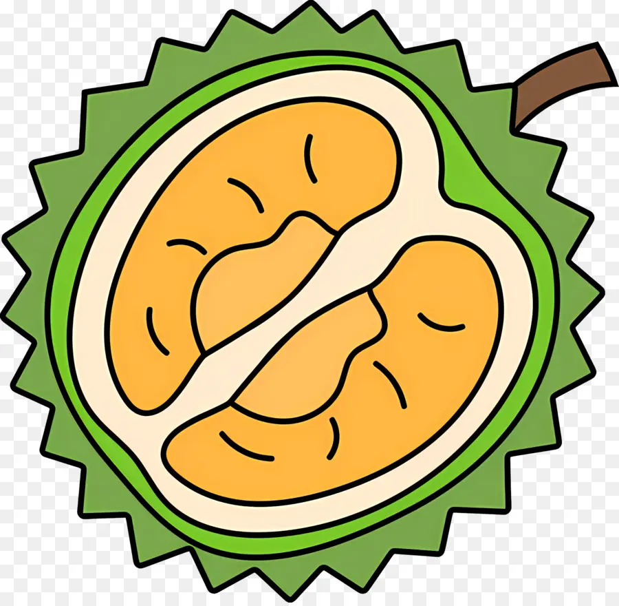 Durião，Fruta Durian PNG