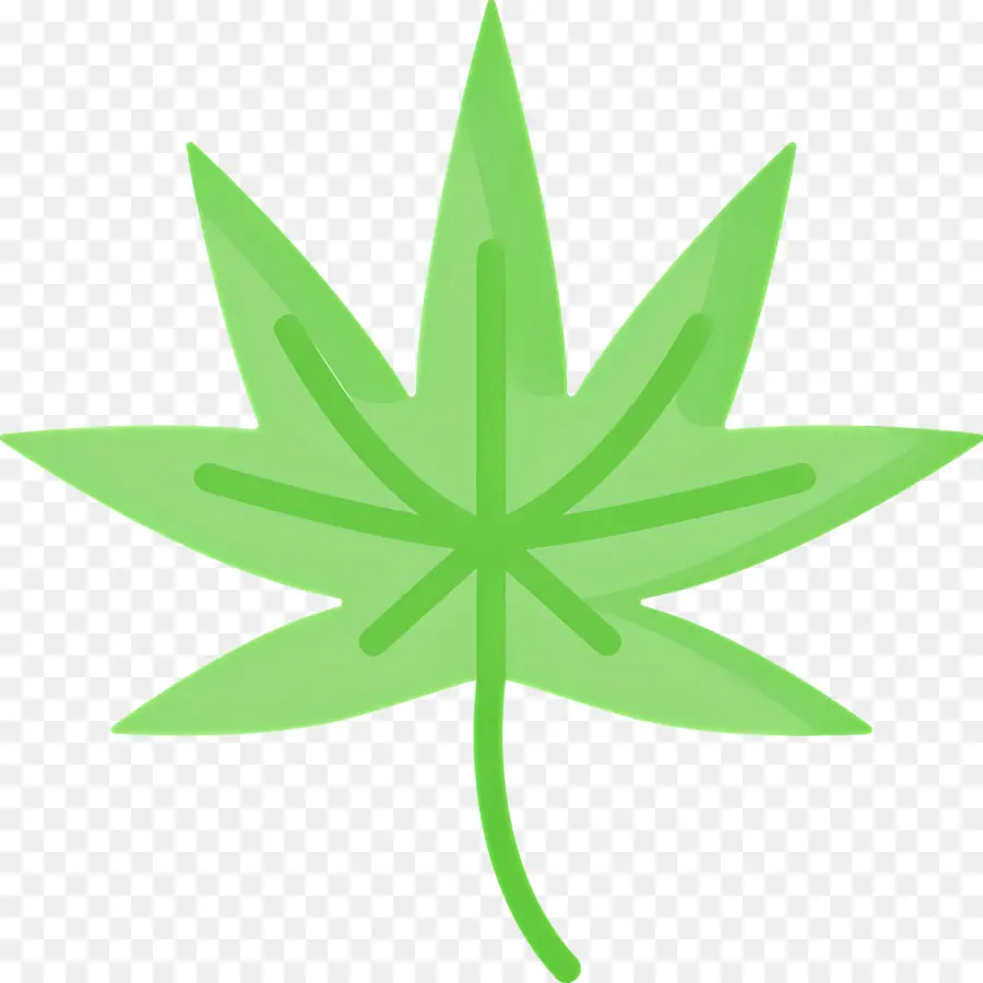 Folha De Cannabis，Folha Verde PNG