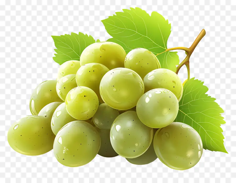 Uva Verde，Uvas PNG